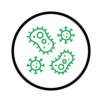 A simple graphic of a black circle containing three green bacteria cells with visible cilia and intricate internal details.