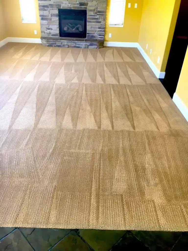 A living room with a beige carpet that may need professional stain removal or carpet cleaning services, located near Salt Lake City.