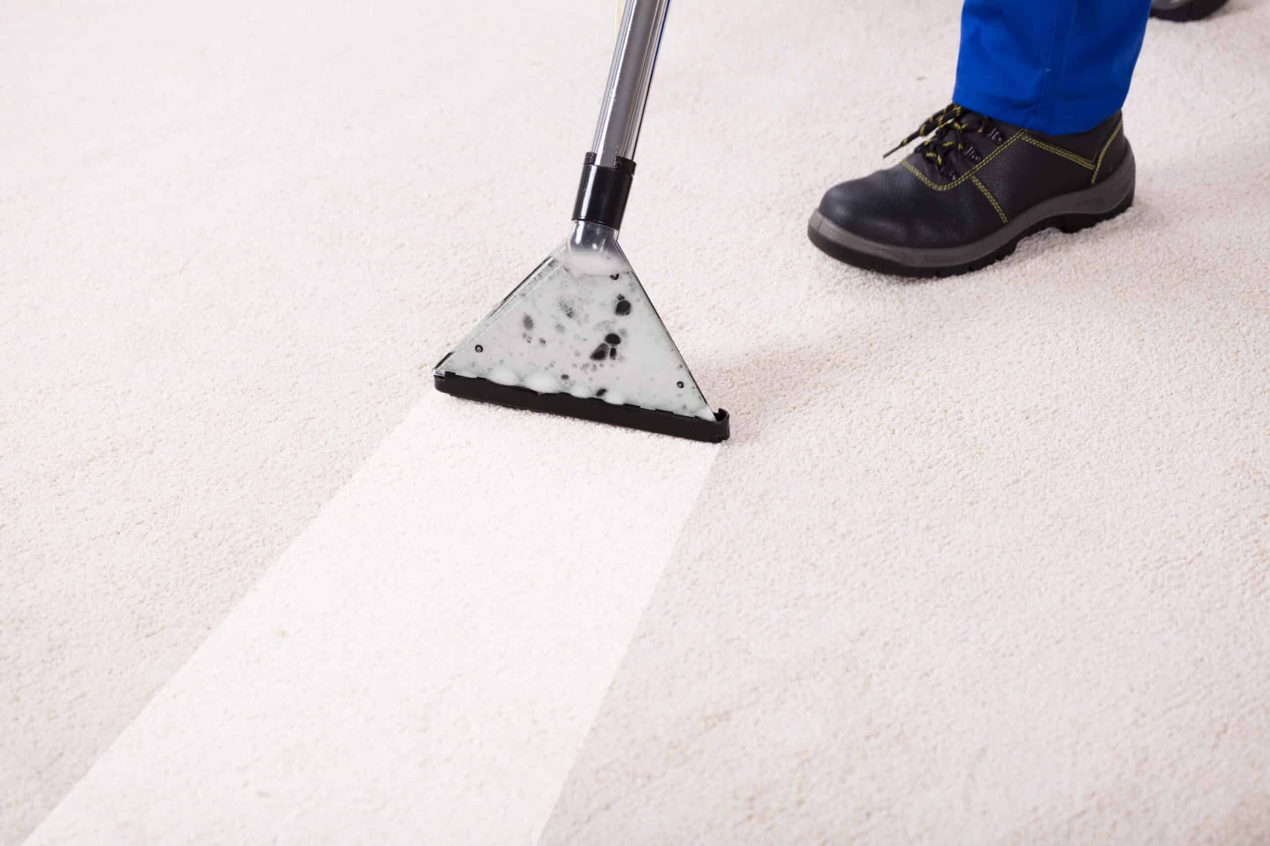 Best Professional Carpet Cleaning Salt Lake & Utah County