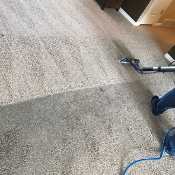 Technician using advanced carpet cleaning equipment in Davis County.