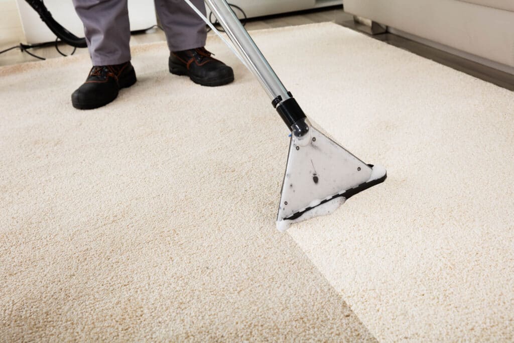 Father And Son Carpet Cleaning Utah S Best Cleaners